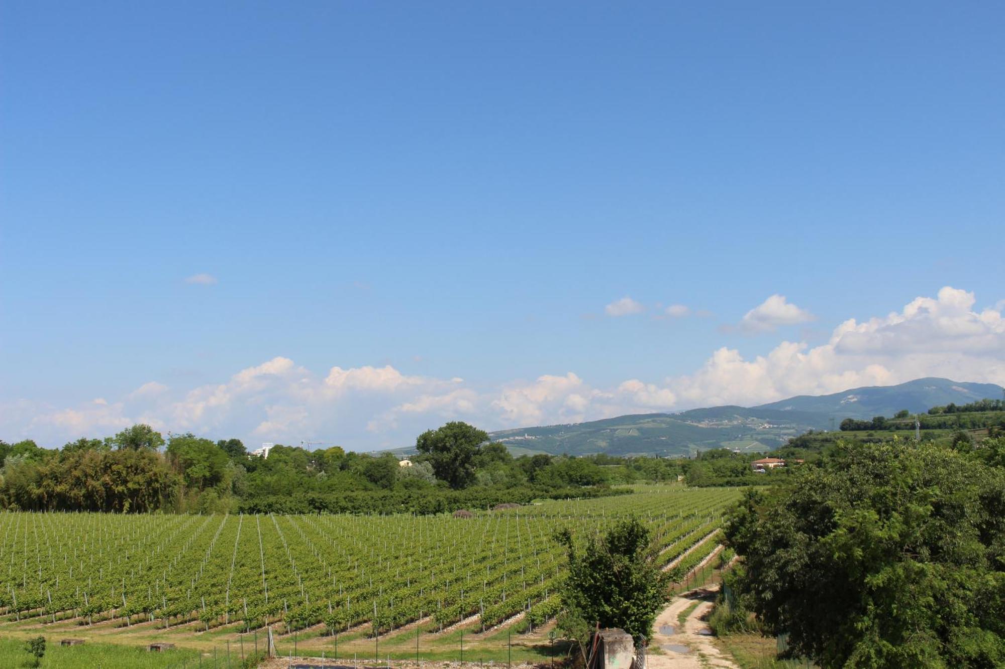 Bed And Breakfast Ca Tognella Pescantina Zewnętrze zdjęcie